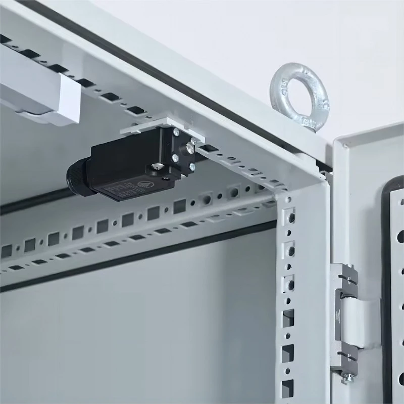 Heavy Duty Rittal Cabinet best